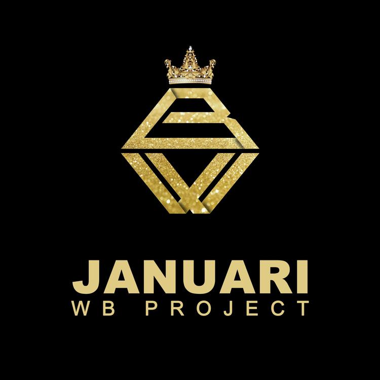 WB Project's avatar image