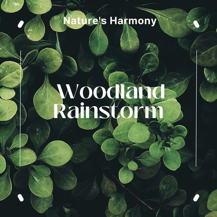 Woodland Rainstorm's avatar image