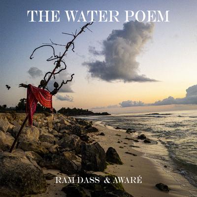 The Water Poem By Ram Dass, Aware's cover