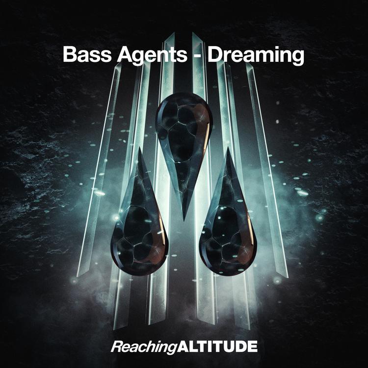 Bass Agents's avatar image