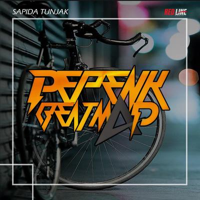 Sapida Tunjak's cover
