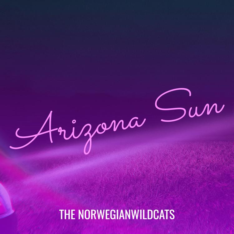 The Norwegianwildcats's avatar image