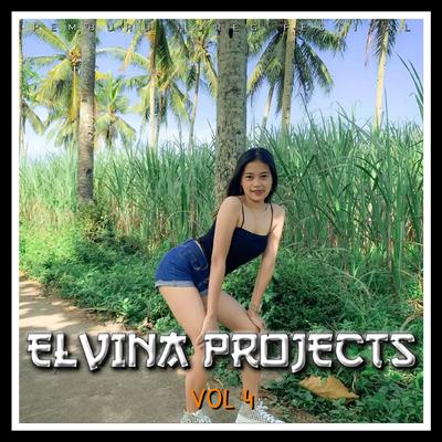 Elvina Vol 4 - Instrument (Album)'s cover