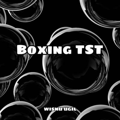 Boxing TST's cover