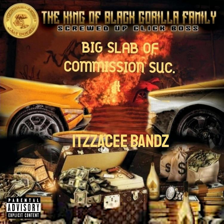 BIG SLAB COMMISSION S.U.C's avatar image