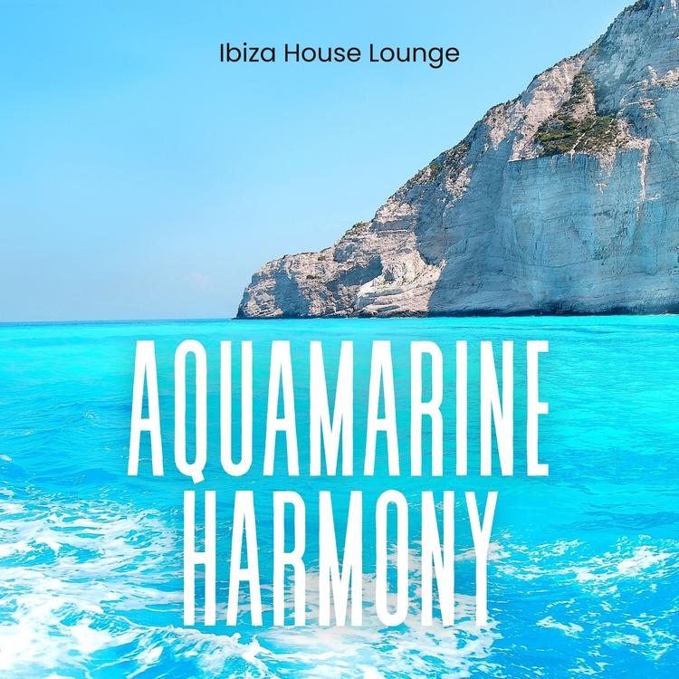 Ibiza House Lounge's avatar image