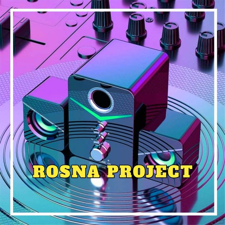 ROSNA PROJECT's avatar image