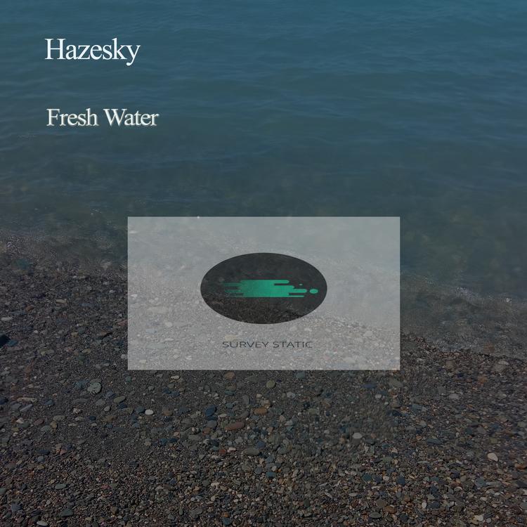 Hazesky's avatar image