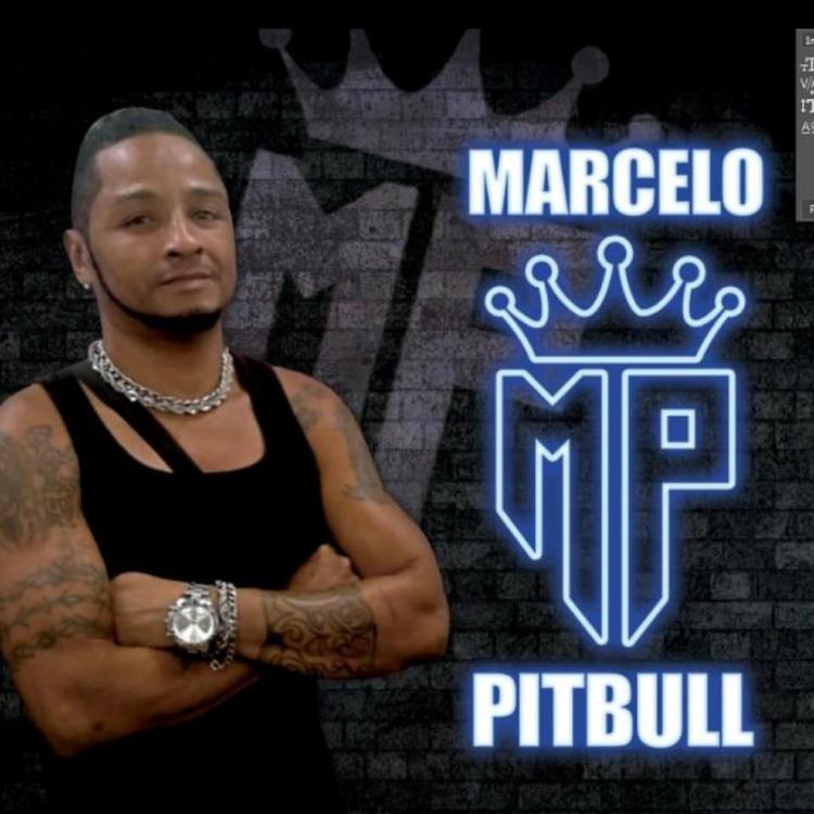 MARCELO PITBULL's avatar image