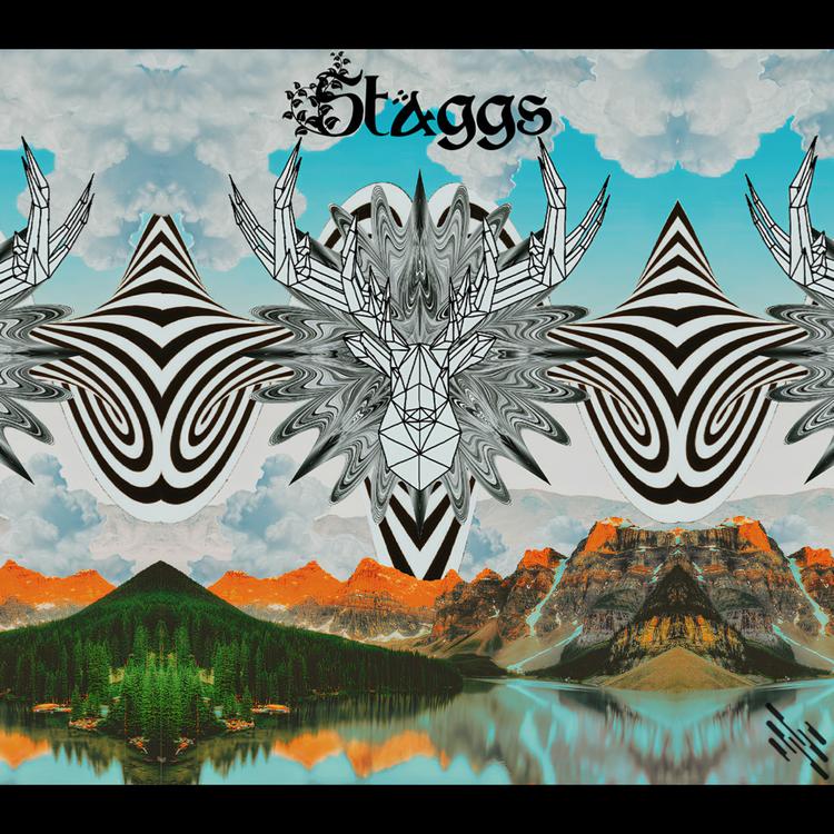 Staggs's avatar image