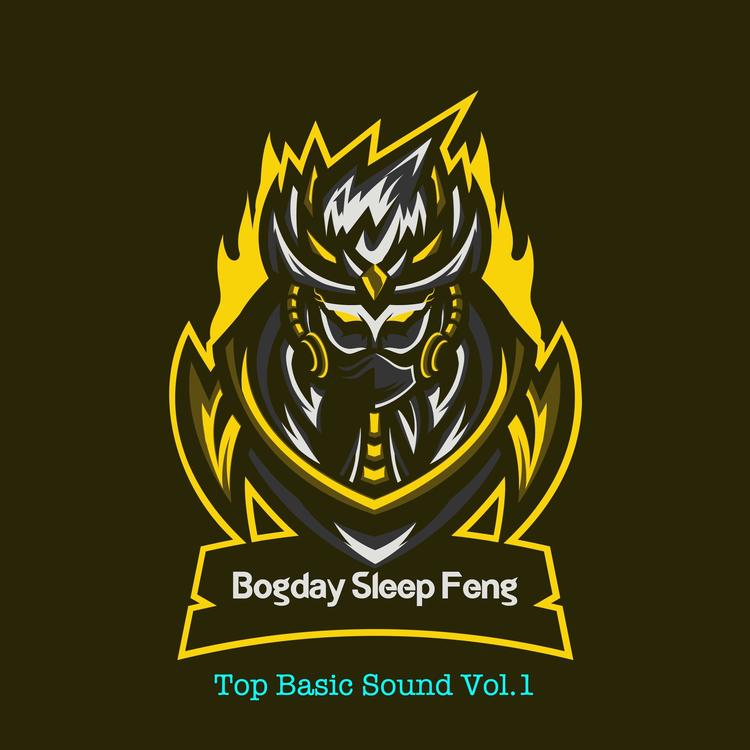 Bogday Sleep Feng's avatar image