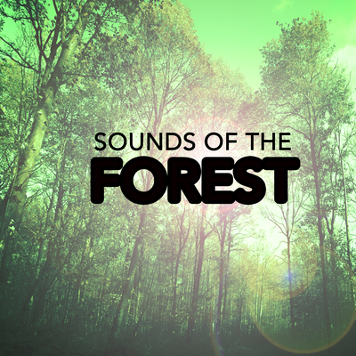 Sounds of the Forest's cover