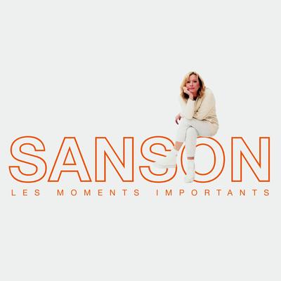 Les moments importants - Best of Véronique Sanson's cover