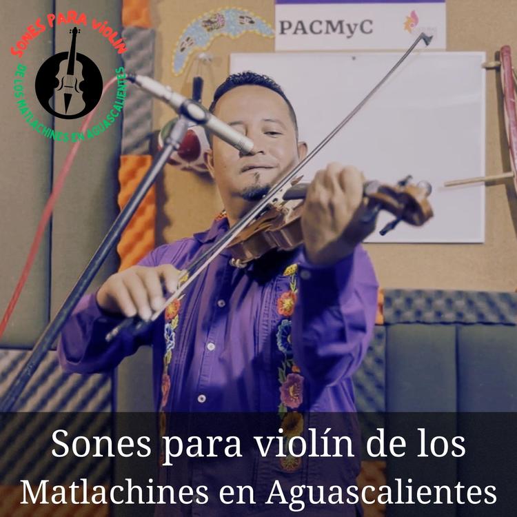 Sones para Violín de los Matlachines en Ags's avatar image