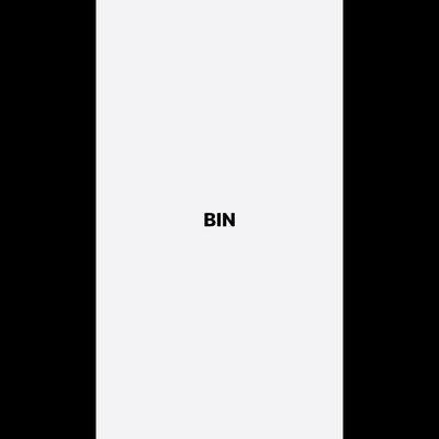 BIN (Demo)'s cover