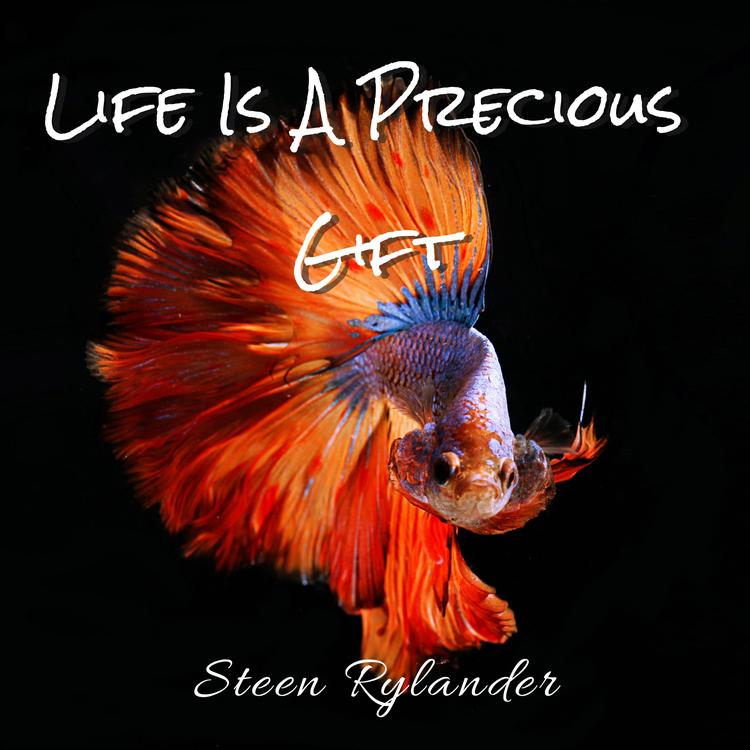 Steen Rylander's avatar image
