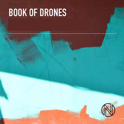 Book of Drones's cover