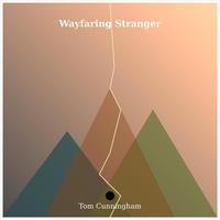 Tom Cunningham's avatar cover