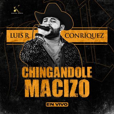 Chingandole Macizó (En Vivo)'s cover