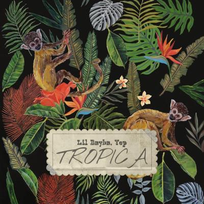 Tropica's cover