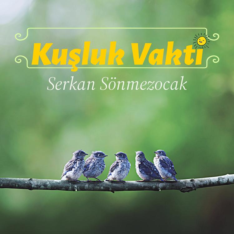 Serkan Sonmezocak's avatar image