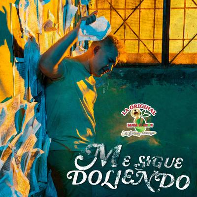 Me Sigue Doliendo By La Original Banda El Limón de Salvador Lizárraga's cover