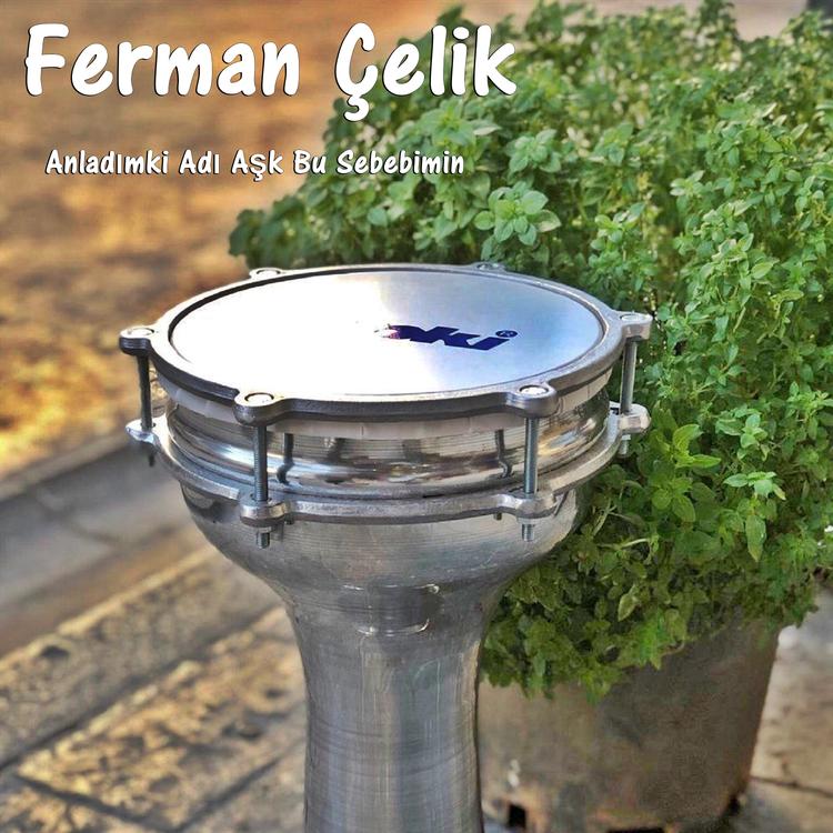 Ferman Çelik's avatar image