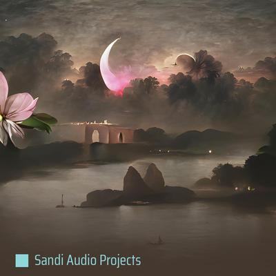 Sandi Audio Projects's cover