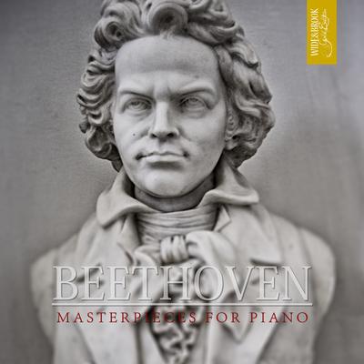 Rondo a capriccio in G Major, Op. 129 "Rage Over A Lost Penny" By Alfred Wilhelmsson, Ludwig Van Beethoven's cover