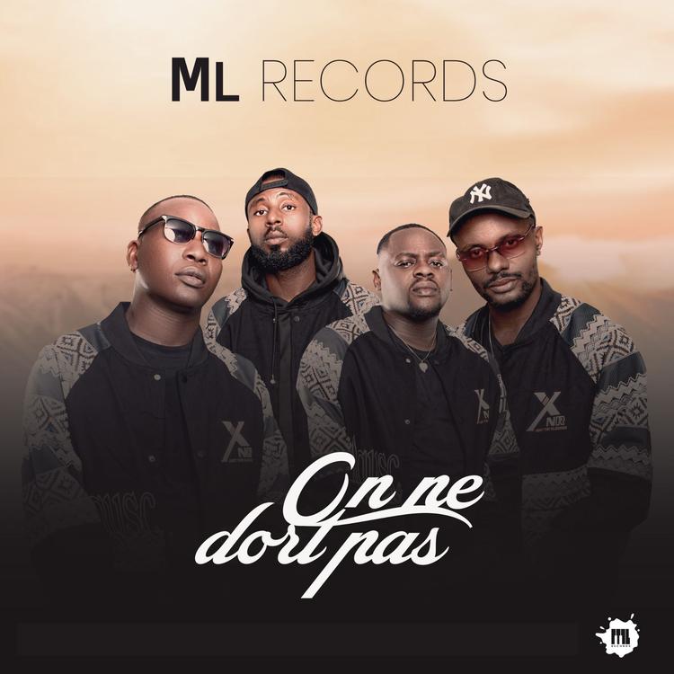Ml Records's avatar image