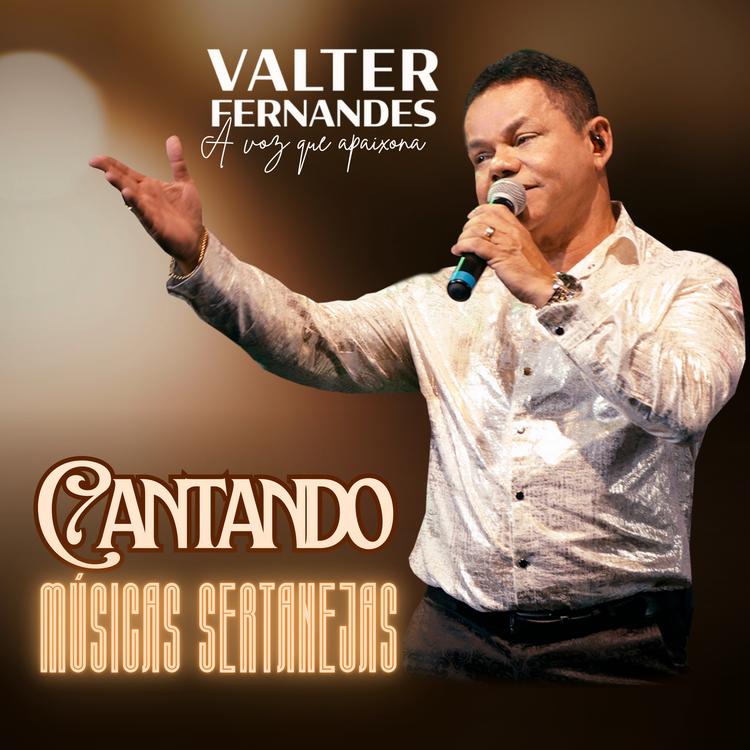 Valter Fernandes's avatar image