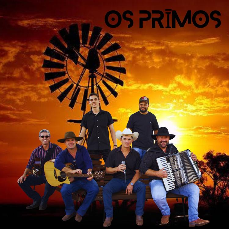 Grupo os primos's avatar image