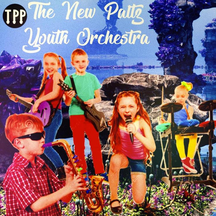 The New Paltz Youth Orchestra's avatar image