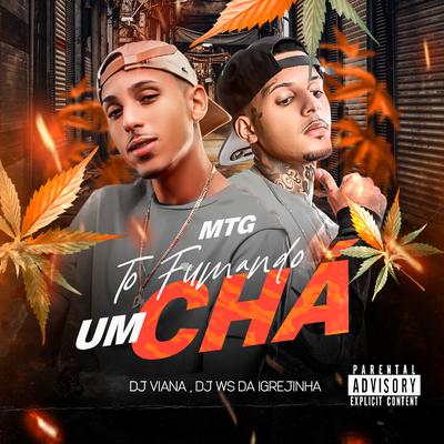Mtg - To Fumando um Cha By Dj Viana, DJ Ws da Igrejinha, Mc Pretchako's cover
