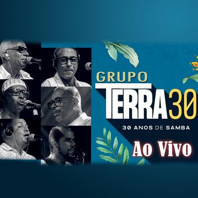 Você se foi - Ao Vivo By Grupo Terra's cover