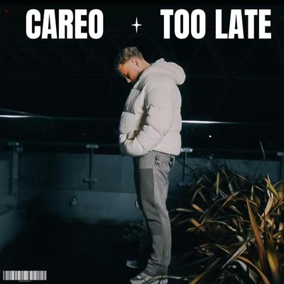 Too Late's cover