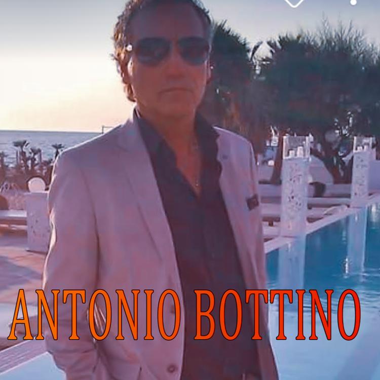 Antonio Bottino's avatar image