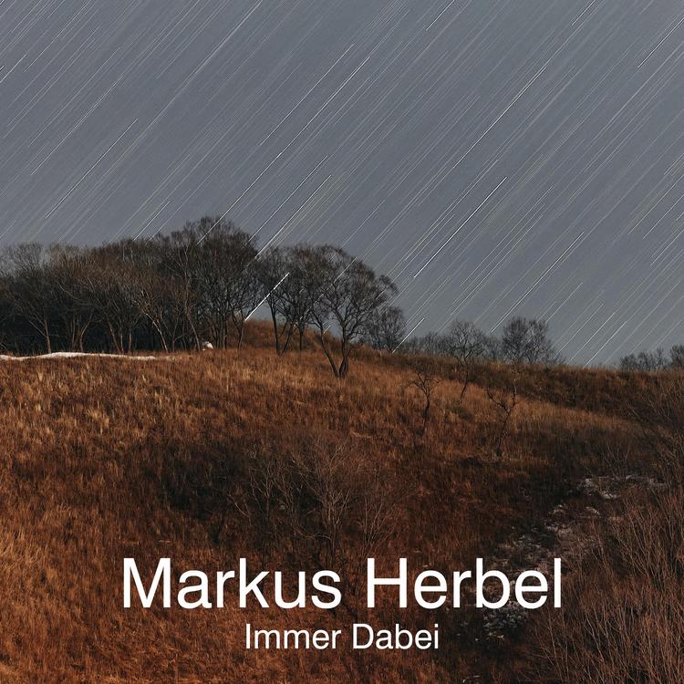 Markus Herbel's avatar image