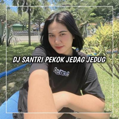 DJ SANTRI PEKOK 's cover