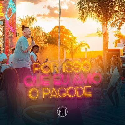 Por Isso Que Eu Amo o Pagode's cover