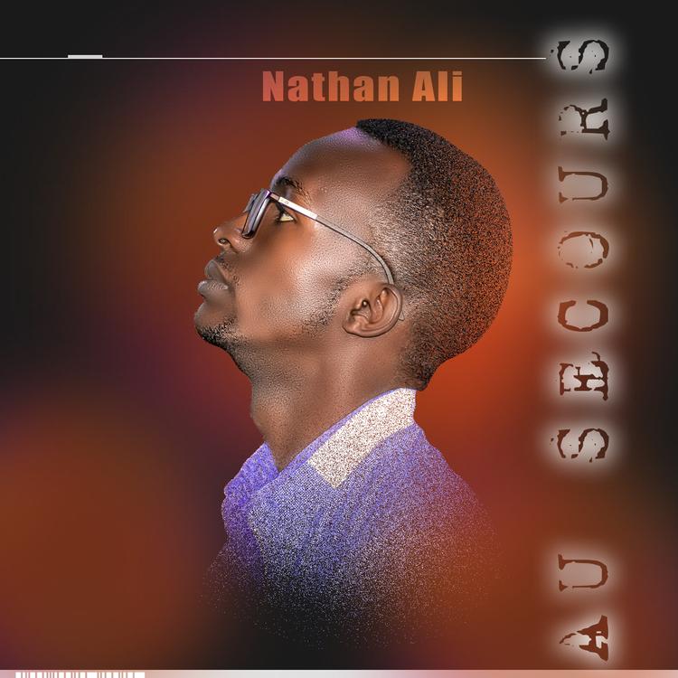 Nathan Ali's avatar image