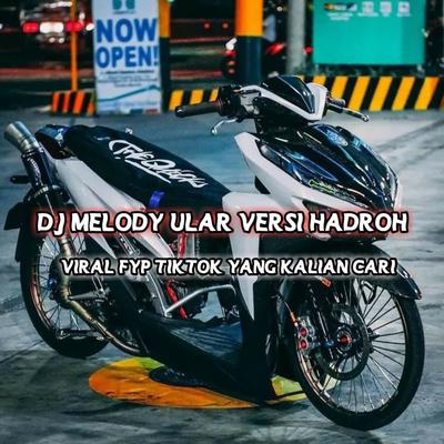 DJ MELODY ULAR VERSI HADROH's cover