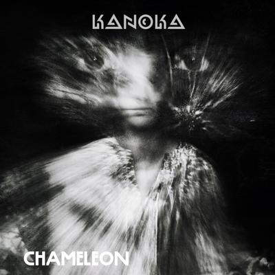 Chameleon's cover