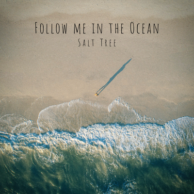 Follow Me in the Ocean By Salt Tree's cover