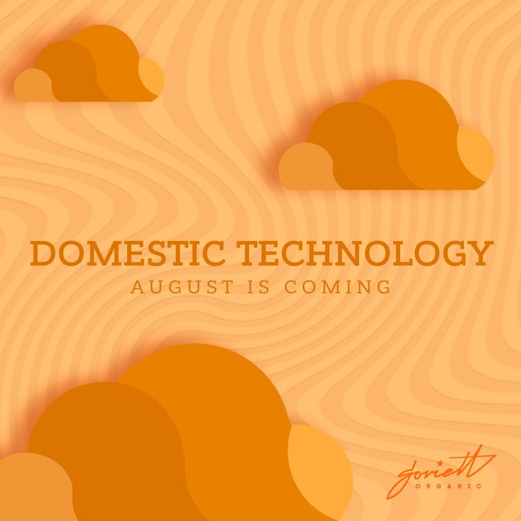 Domestic Technology's avatar image