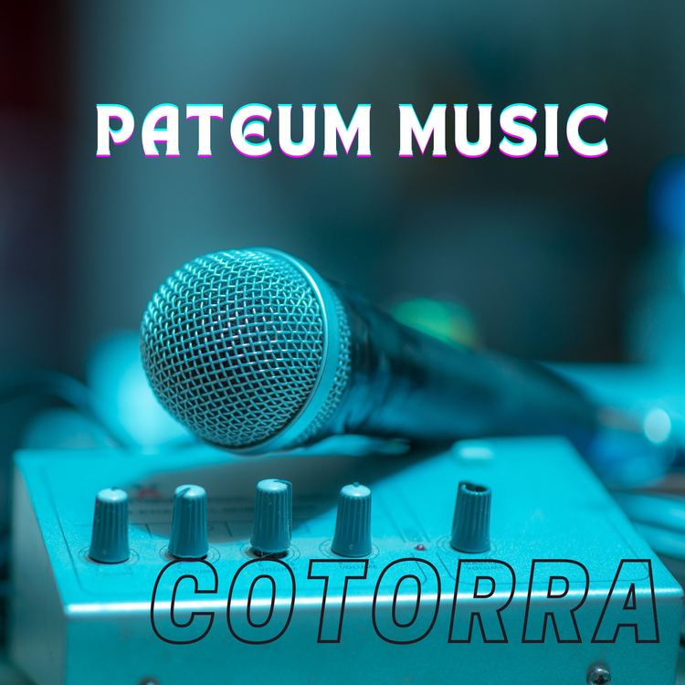 PATEUM MUSIC's avatar image