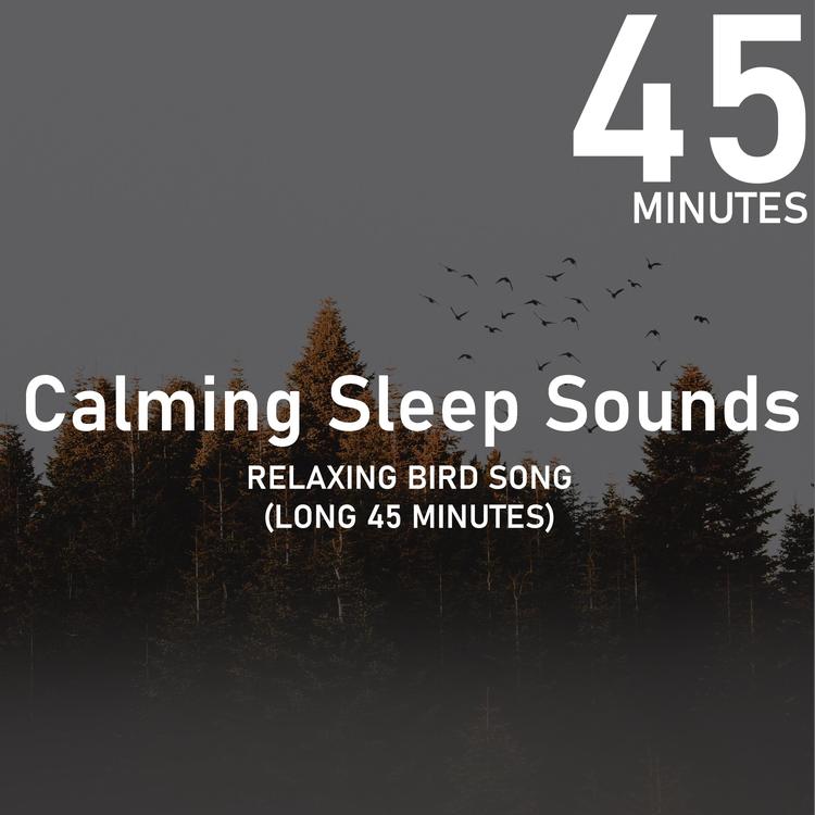 Calming Sleep Sounds's avatar image