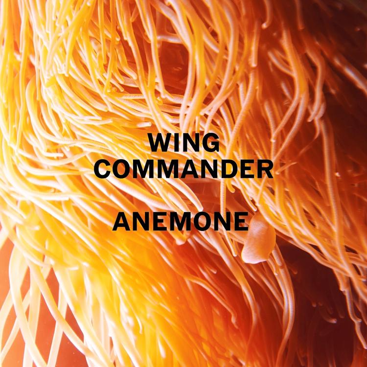 Wing Commander's avatar image