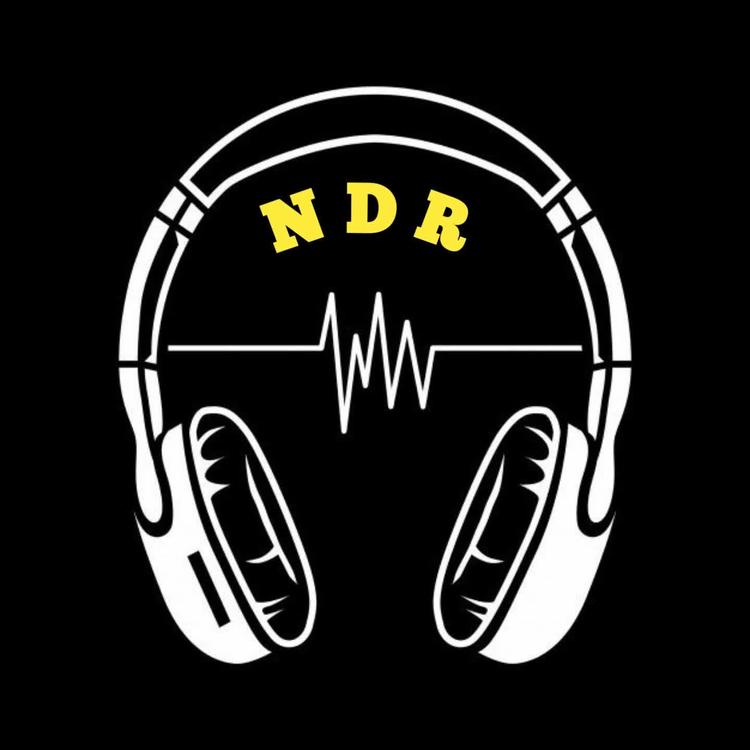 ilden ndr's avatar image