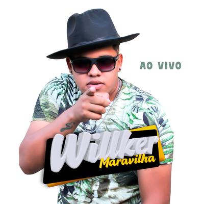 Willker Maravilha ao Vivo's cover